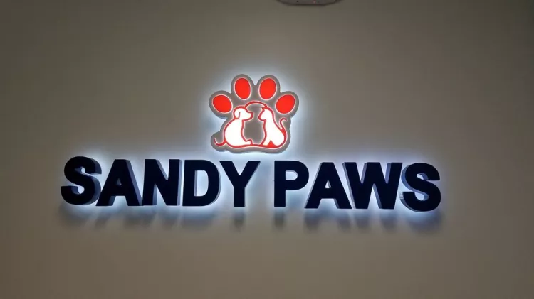 Sandy Paws Veterinary Clinic, Georgia, Marietta